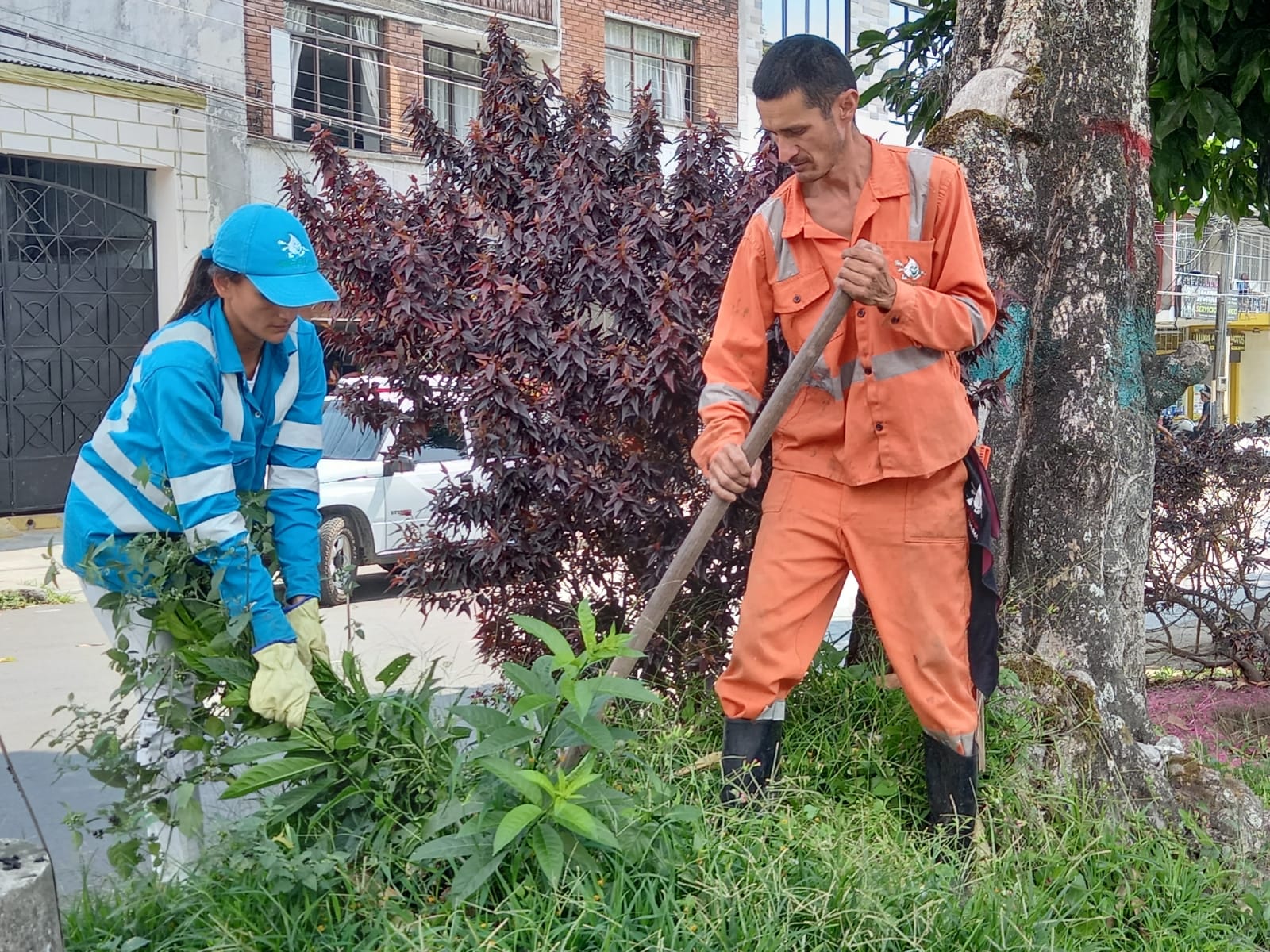 Embellecimiento y Gestión de Residuos en Nuestras Zonas Verdes