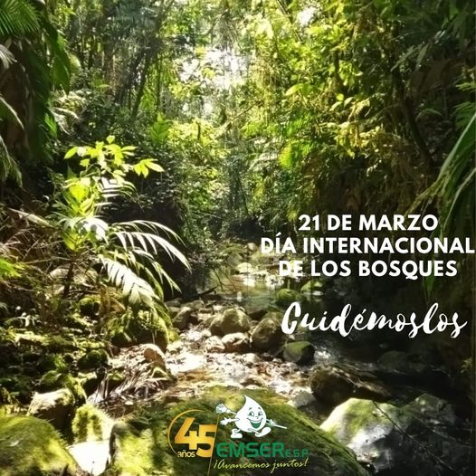  Día Internacional de los Bosques